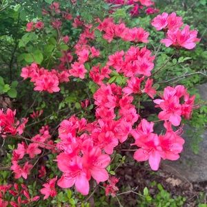 Meet your Posher, Alejandra